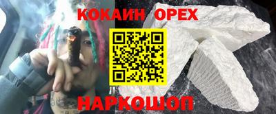 бошки Кингисепп