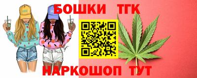 бошки Кингисепп