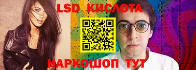 бошки Кингисепп