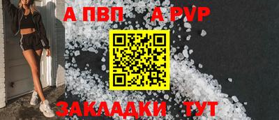 бошки Кингисепп