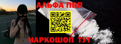 бошки Кингисепп