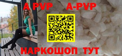 бошки Кингисепп