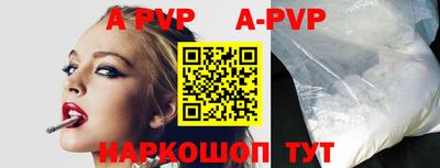 бошки Кингисепп