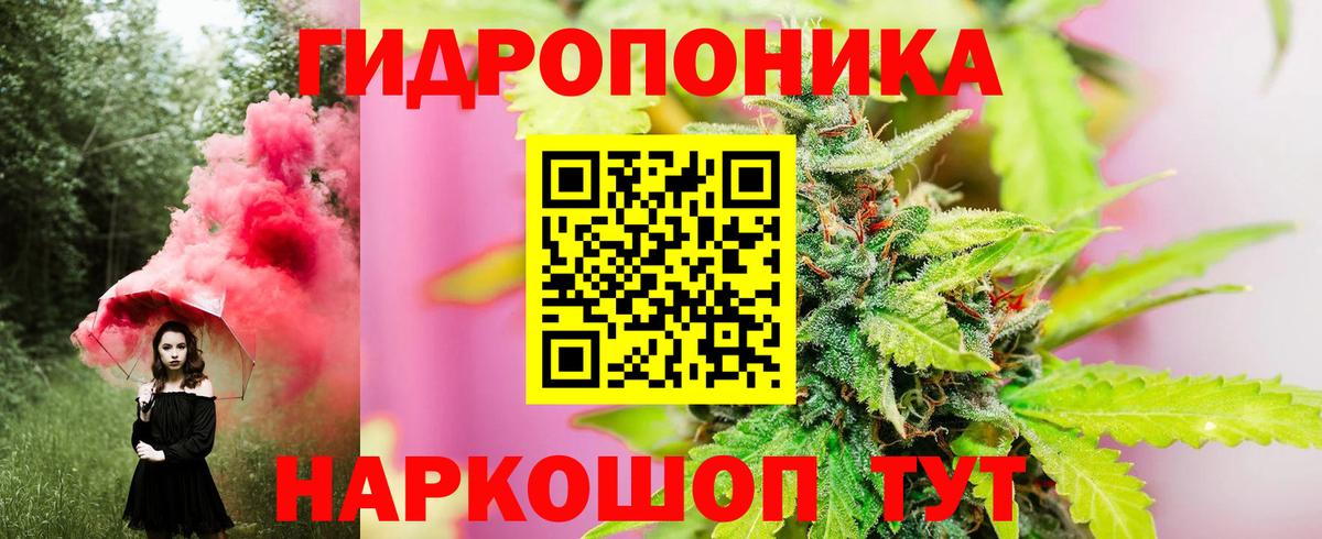 Каннабис Amnesia Кострома